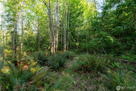 405 Elk Run Trail Port Angeles WA 98362