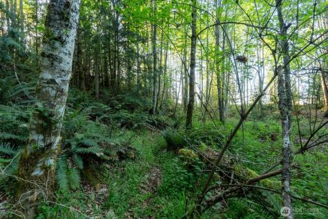 405 Elk Run Trail Port Angeles WA 98362