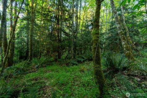 405 Elk Run Trail Port Angeles WA 98362