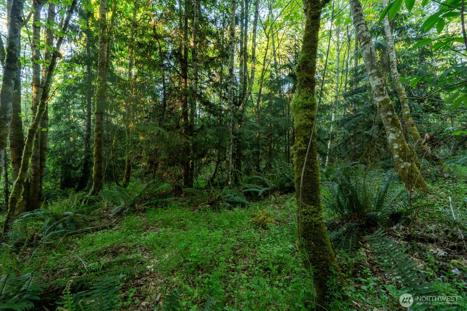 405 Elk Run Trail Port Angeles WA 98362