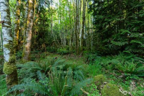 405 Elk Run Trail Port Angeles WA 98362