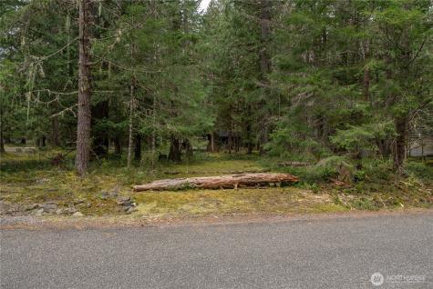 38313 566th Street Court E Ashford WA 98304