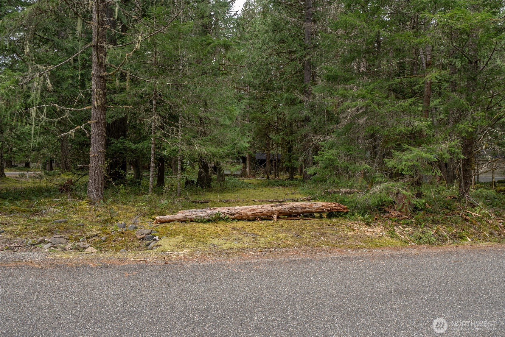 38313 566th Street Court E Ashford WA 98304