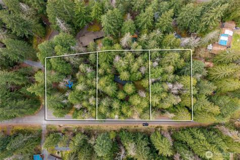38313 566th Street Court E Ashford WA 98304