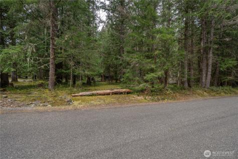 38313 566th Street Court E Ashford WA 98304
