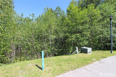 4619 Beaver Pond Drive S Mount Vernon WA 98274