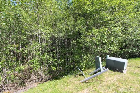 4619 Beaver Pond Drive S Mount Vernon WA 98274