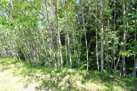 4619 Beaver Pond Drive S Mount Vernon WA 98274