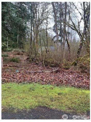 16007 Shuksan Rim Drive Deming WA 98244