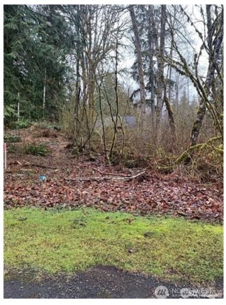 16007 Shuksan Rim Drive Deming WA 98244