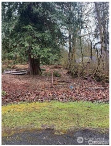 16007 Shuksan Rim Drive Deming WA 98244