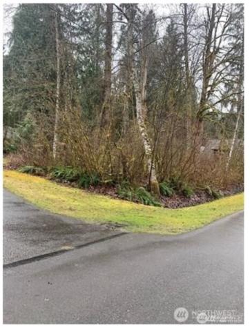 16007 Shuksan Rim Drive Deming WA 98244