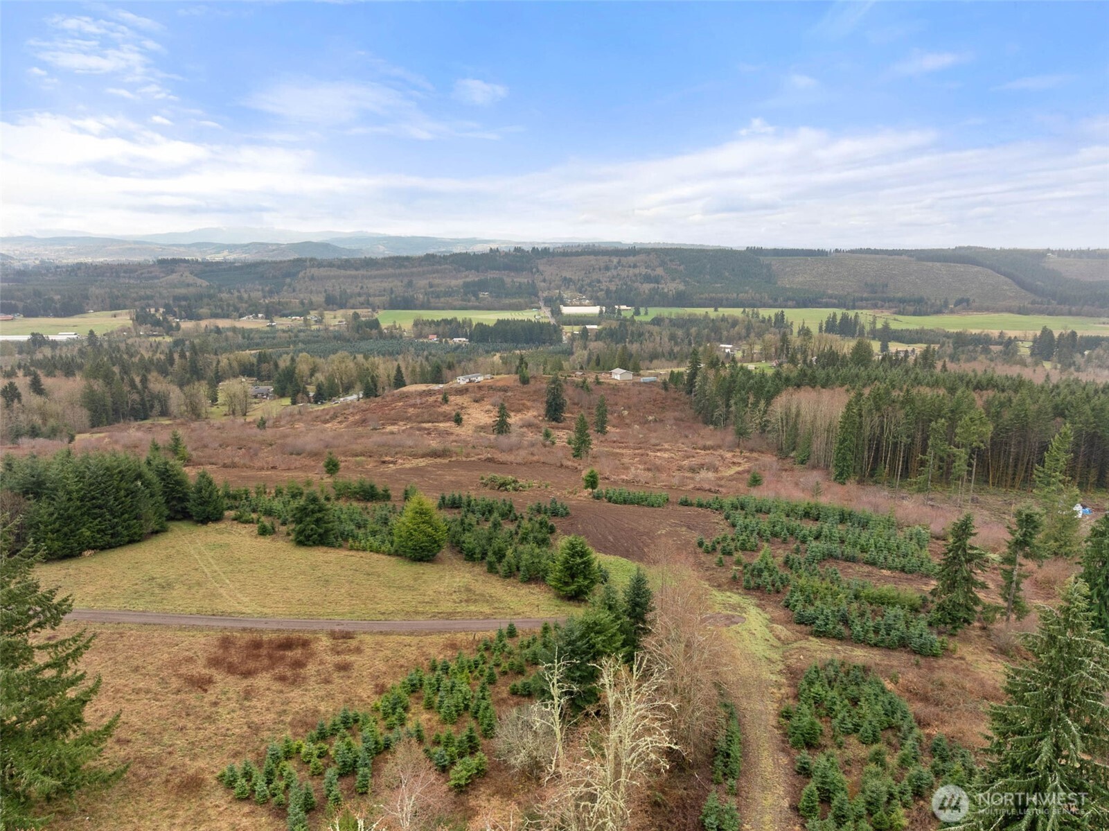 177 Starlight Drive Onalaska WA 98533