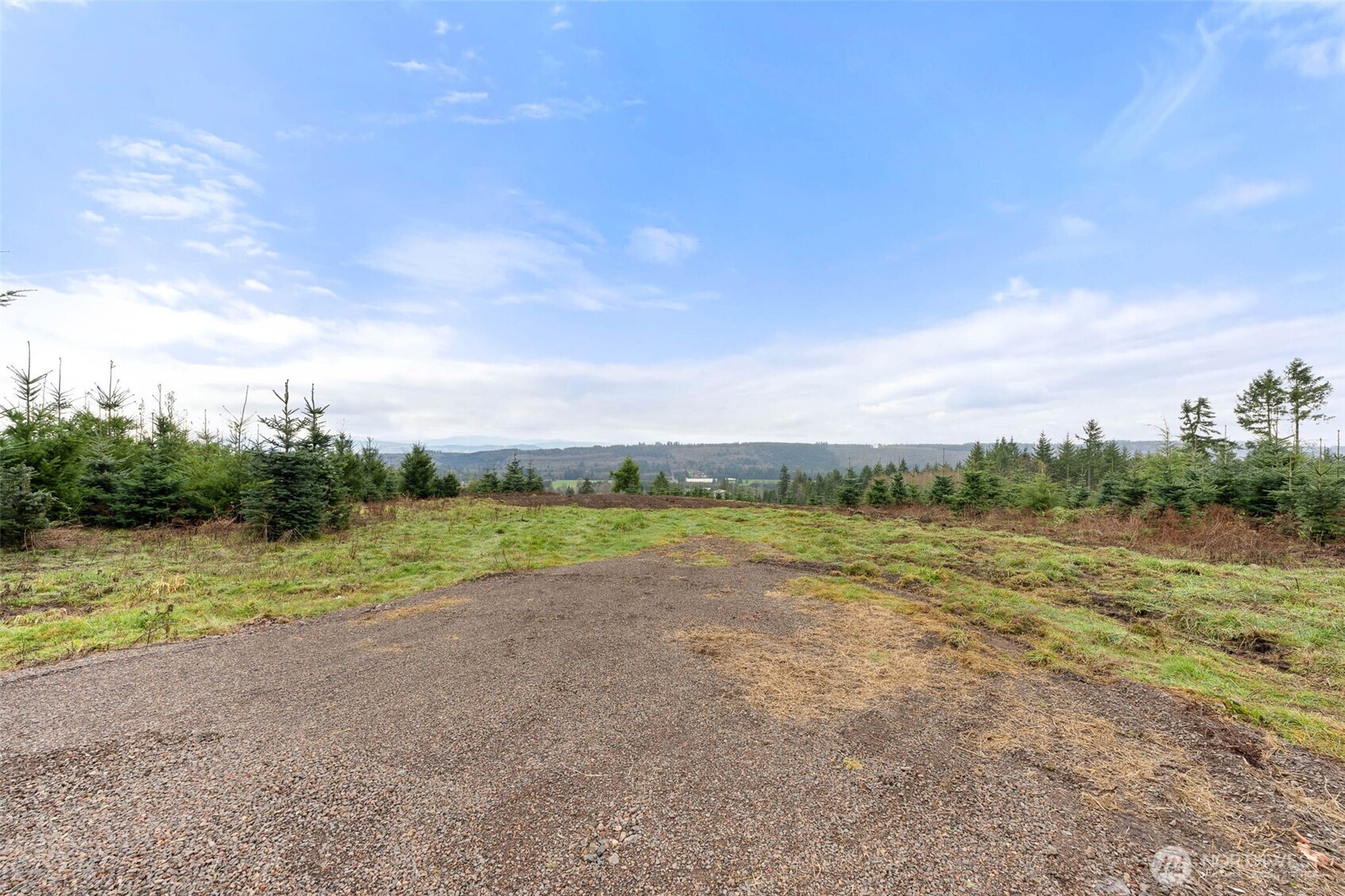 177 Starlight Drive Onalaska WA 98533