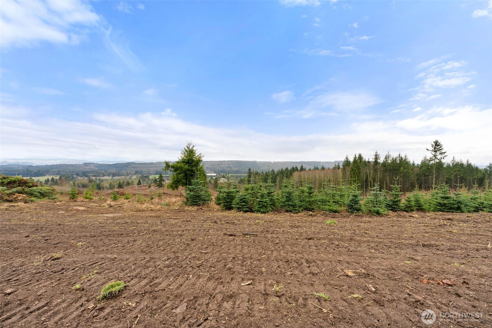 177 Starlight Drive Onalaska WA 98533