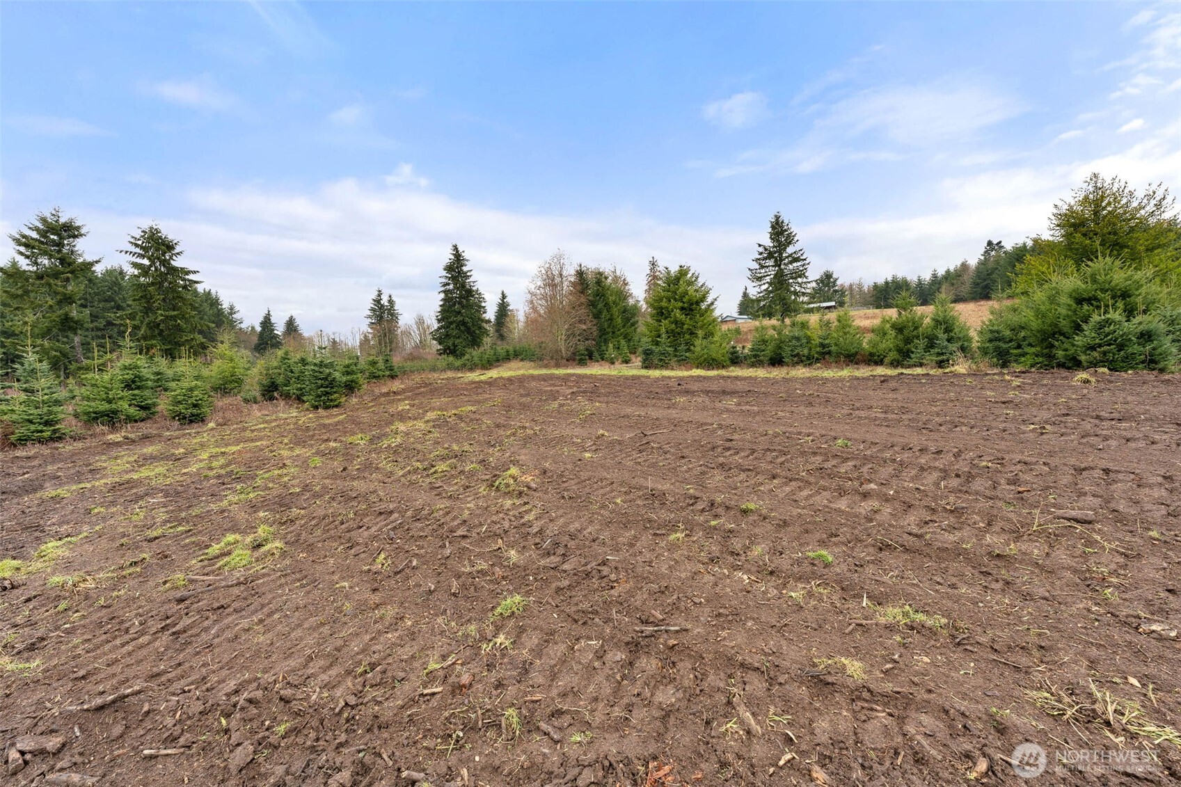 177 Starlight Drive Onalaska WA 98533