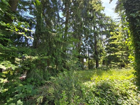 263 135th (Parcel B Of Bla) Avenue SE Kent WA 98042