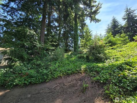 263 135th (Parcel B Of Bla) Avenue SE Kent WA 98042