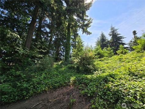 263 135th (Parcel B Of Bla) Avenue SE Kent WA 98042