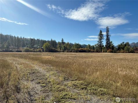 0 Tbd Highway 21 N Curlew WA 99118