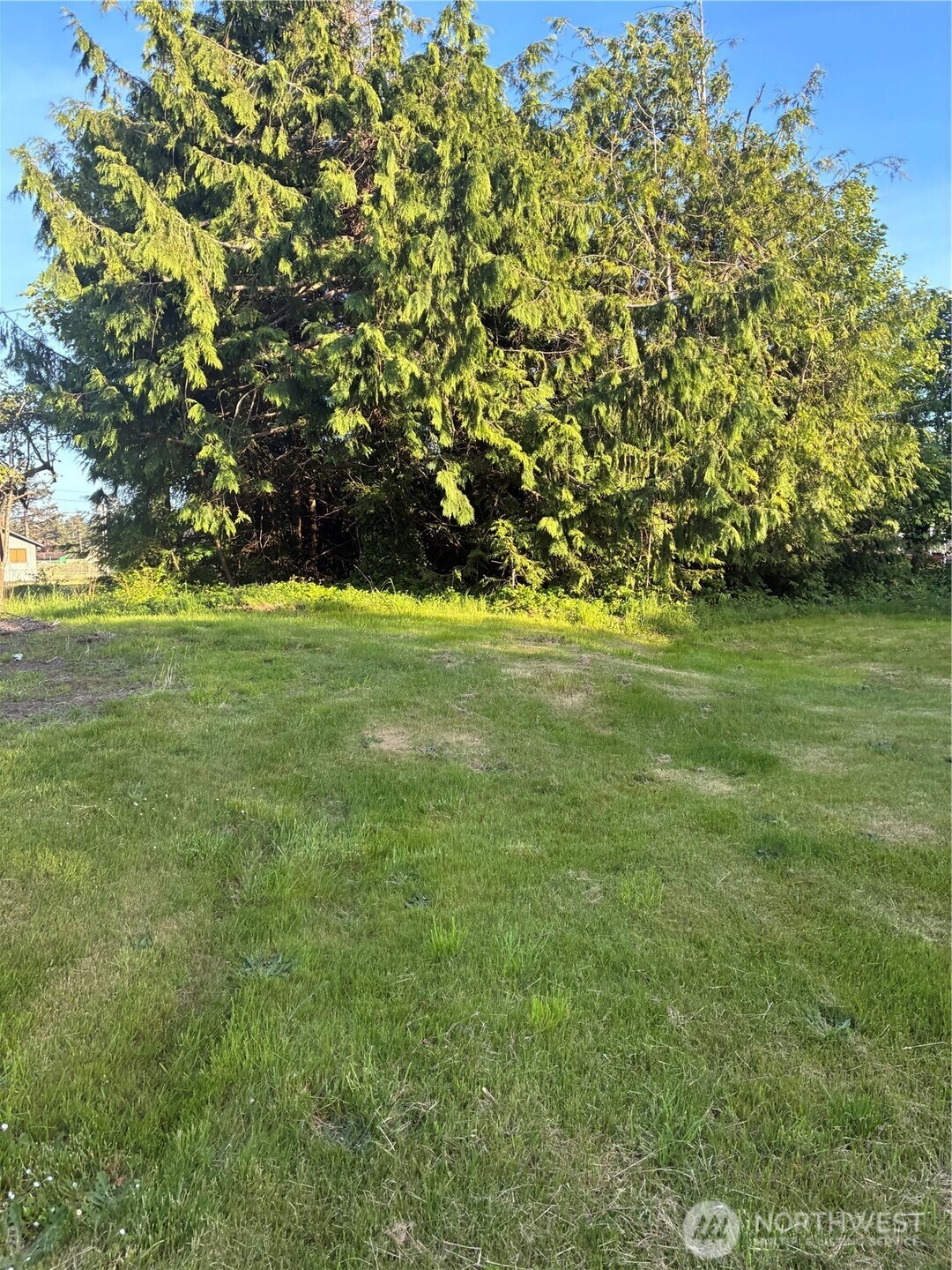 1408 256th Lot 384 Place Ocean Park WA 98640
