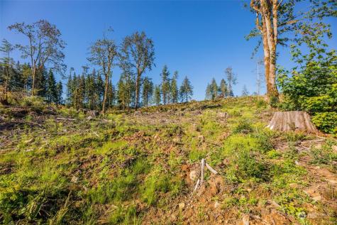 9005 Woods Creek Road Monroe WA 98272