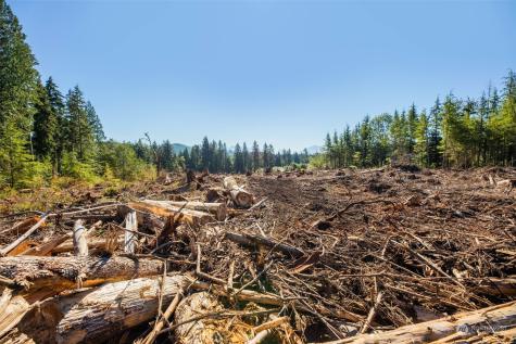 9005 Woods Creek Road Monroe WA 98272