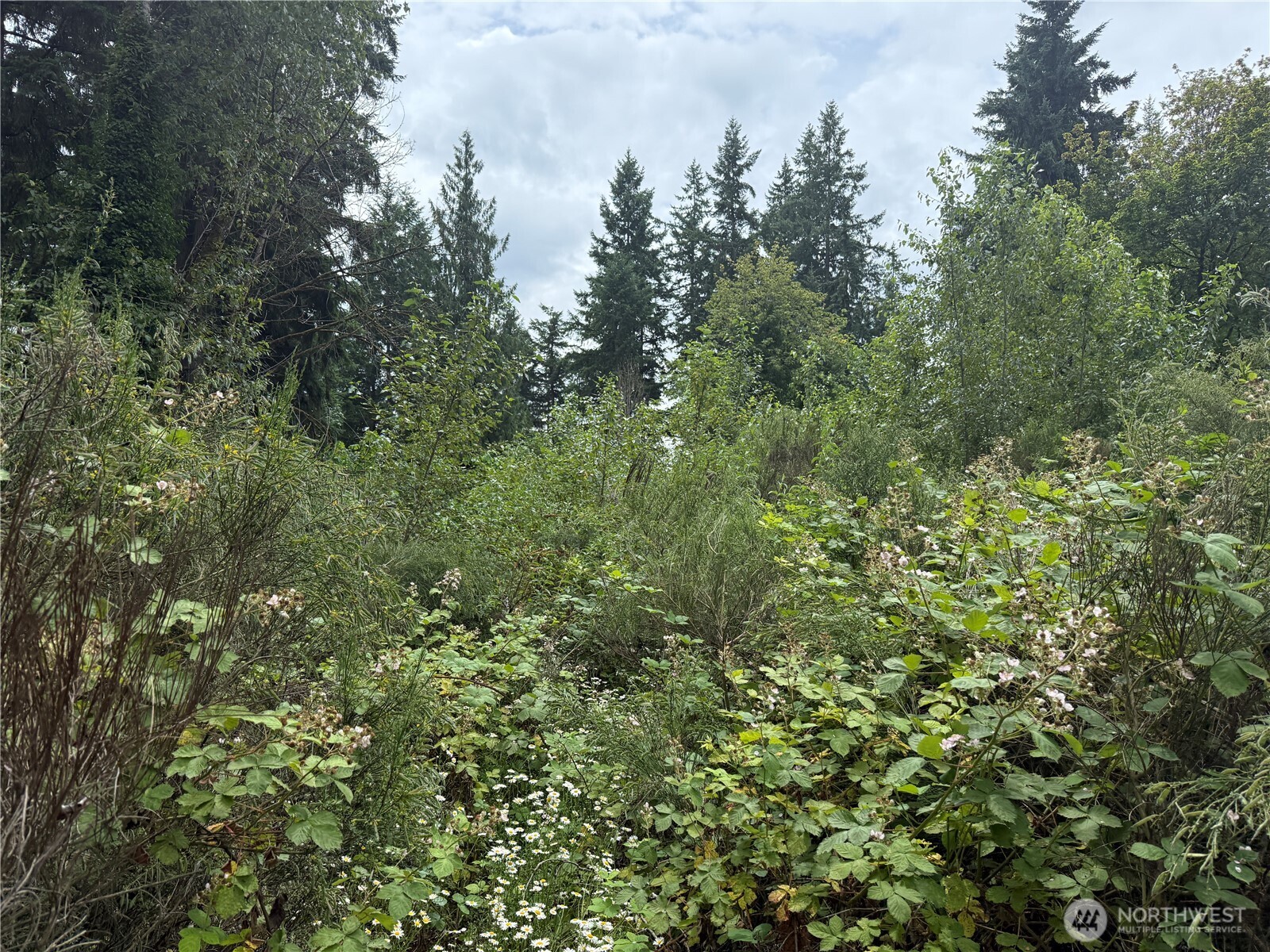 3219 Auburn Way S Auburn WA 98092