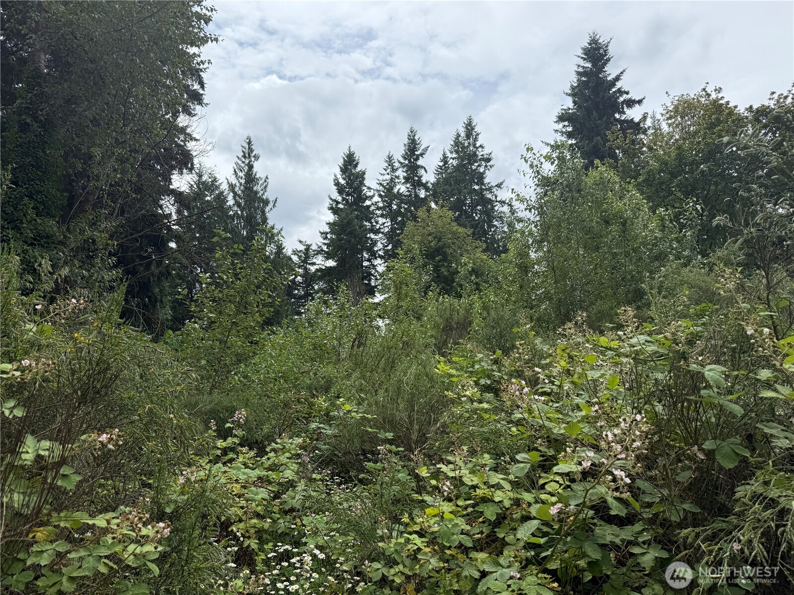 3219 Auburn Way S Auburn WA 98092