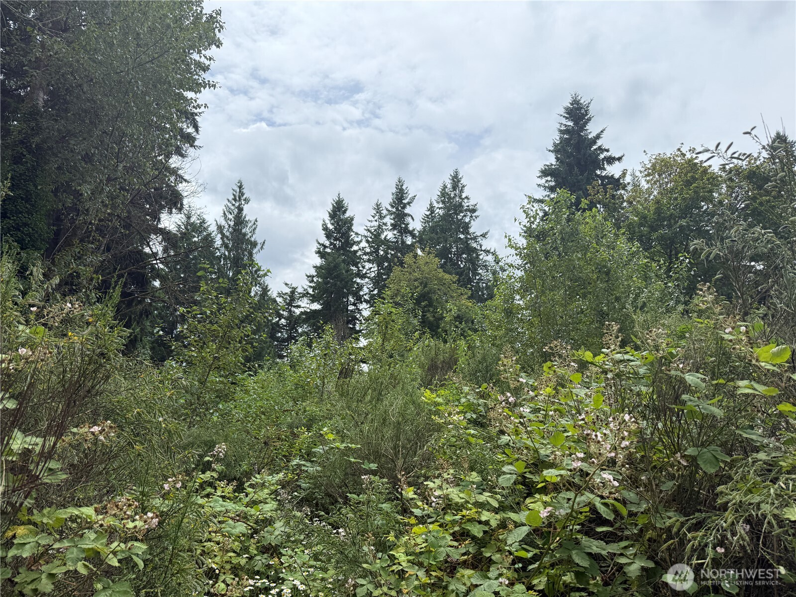 3219 Auburn Way S Auburn WA 98092