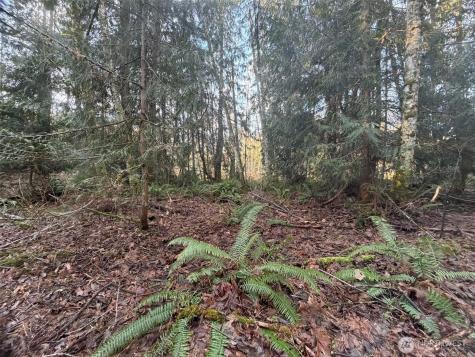 400 House Place Camano Island WA 98282