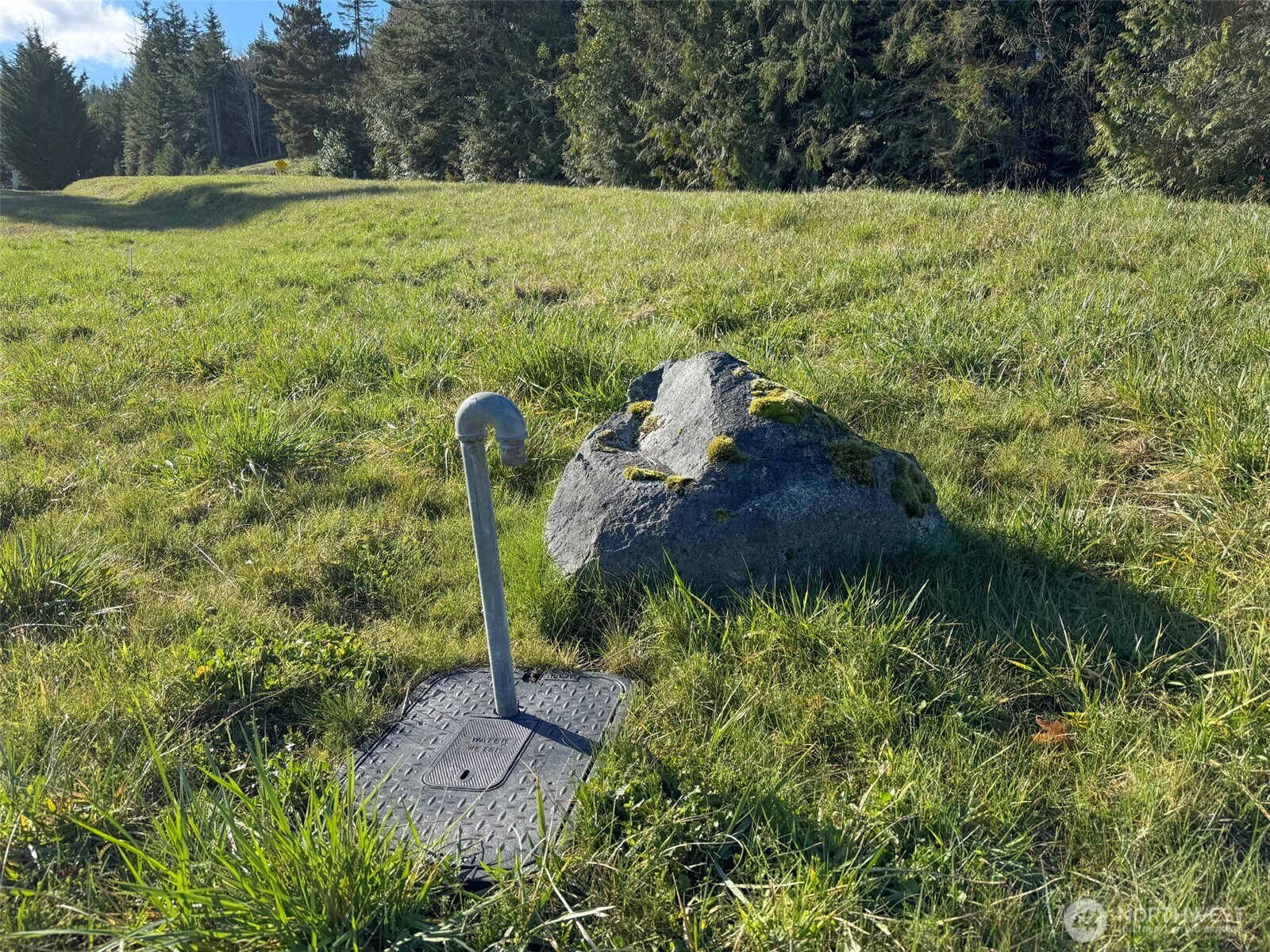 9999 Doe Run Road Sequim WA 98382