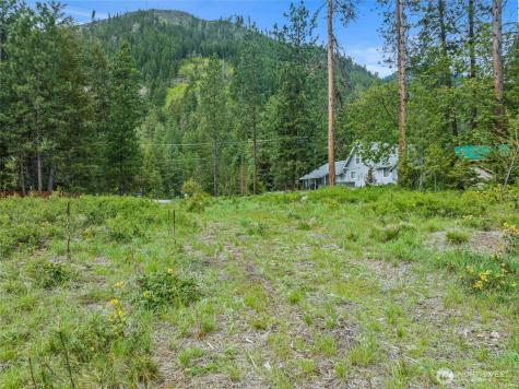 81 Norling Lane Leavenworth WA 98826