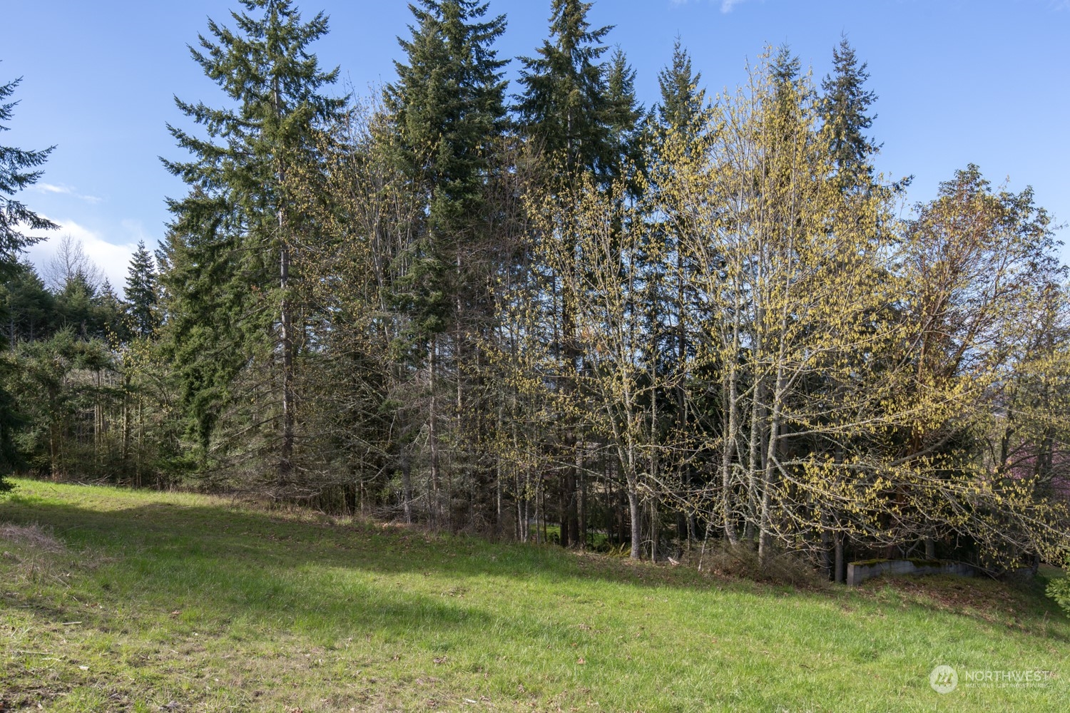 9999 Fox Hollow Road Sequim WA 98382