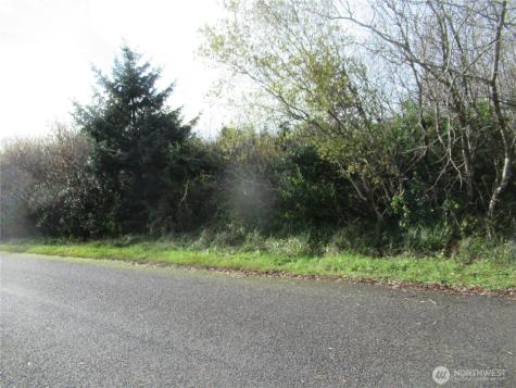 12 Driftwood Drive Ocean Shores WA 98569