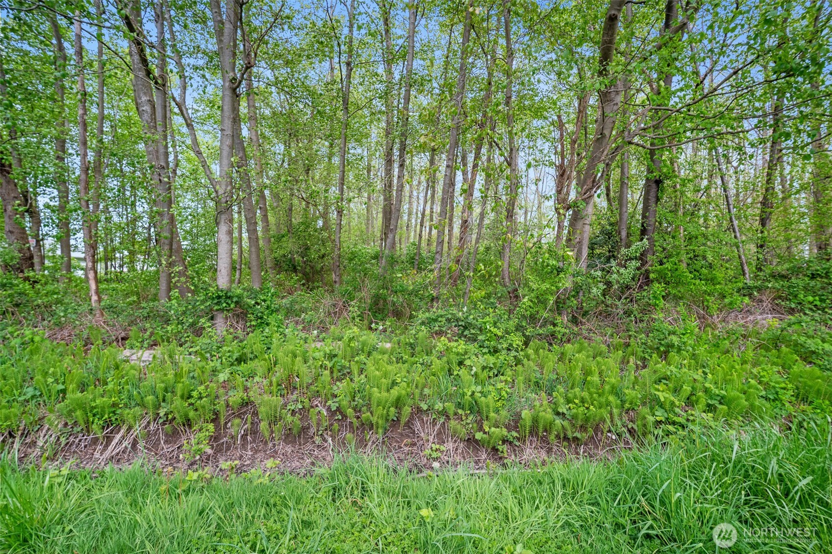 4884 Bay Road Blaine WA 98230