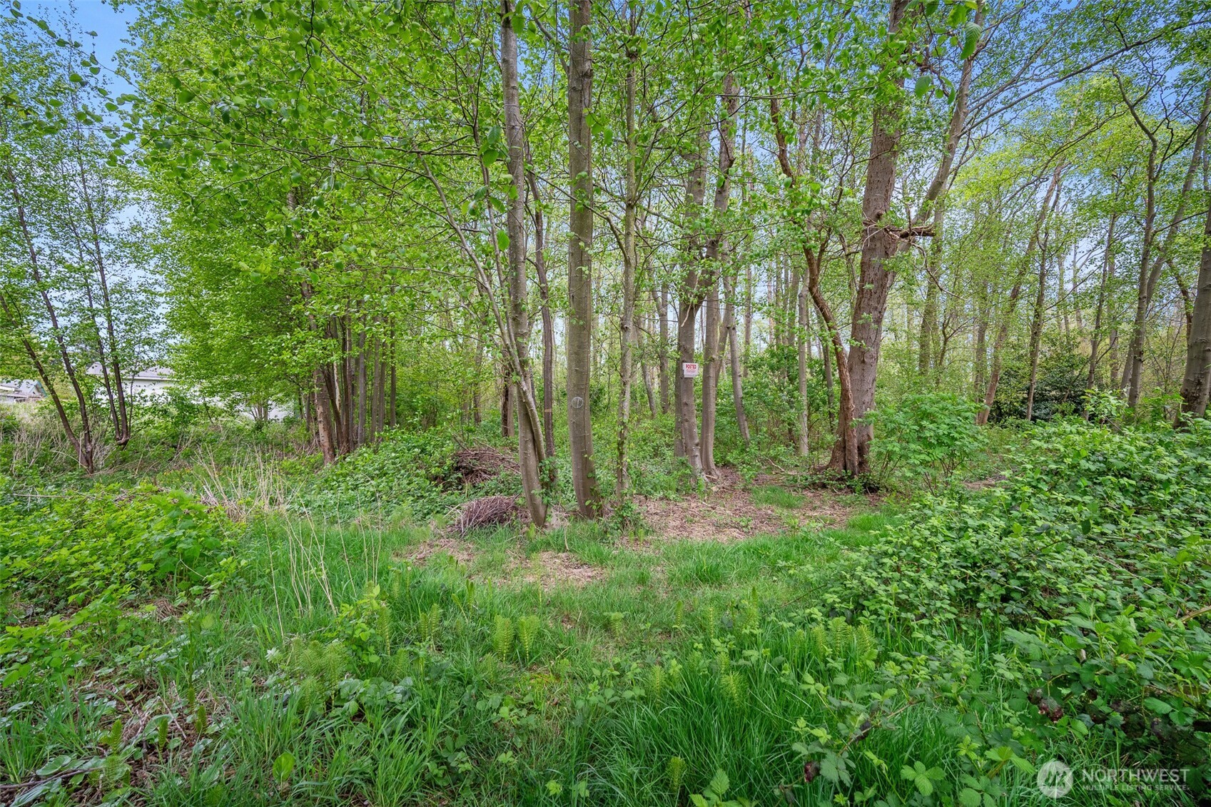 4884 Bay Road Blaine WA 98230