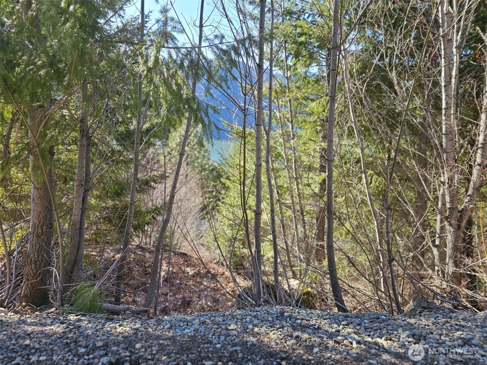 12 Anna Bell Drive Ronald WA 98940
