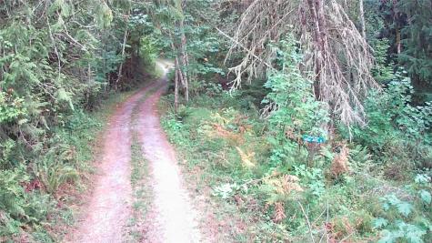 52914 131st Avenue E Eatonville WA 98328