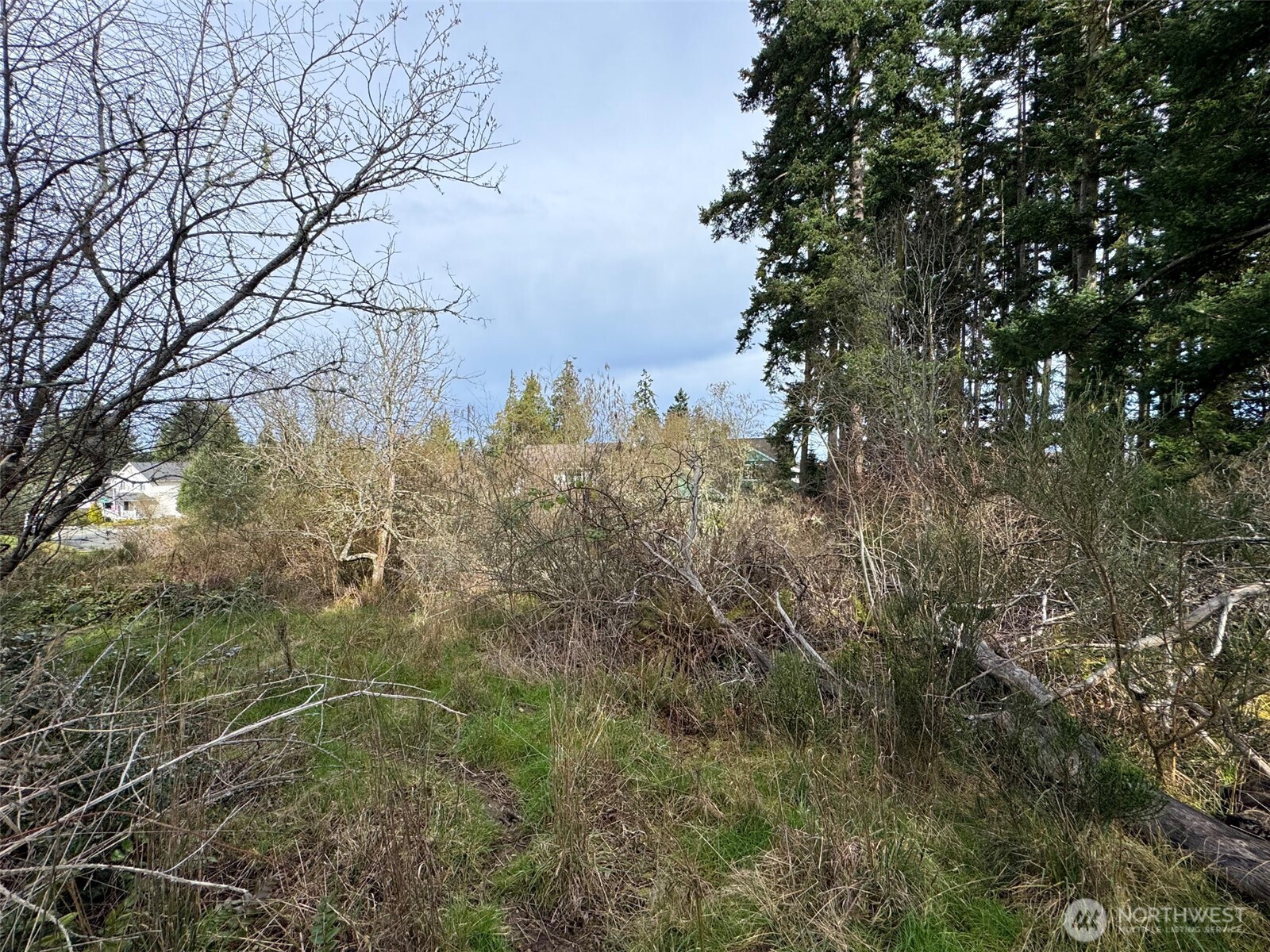 9999 W 8th Street Port Angeles WA 98363