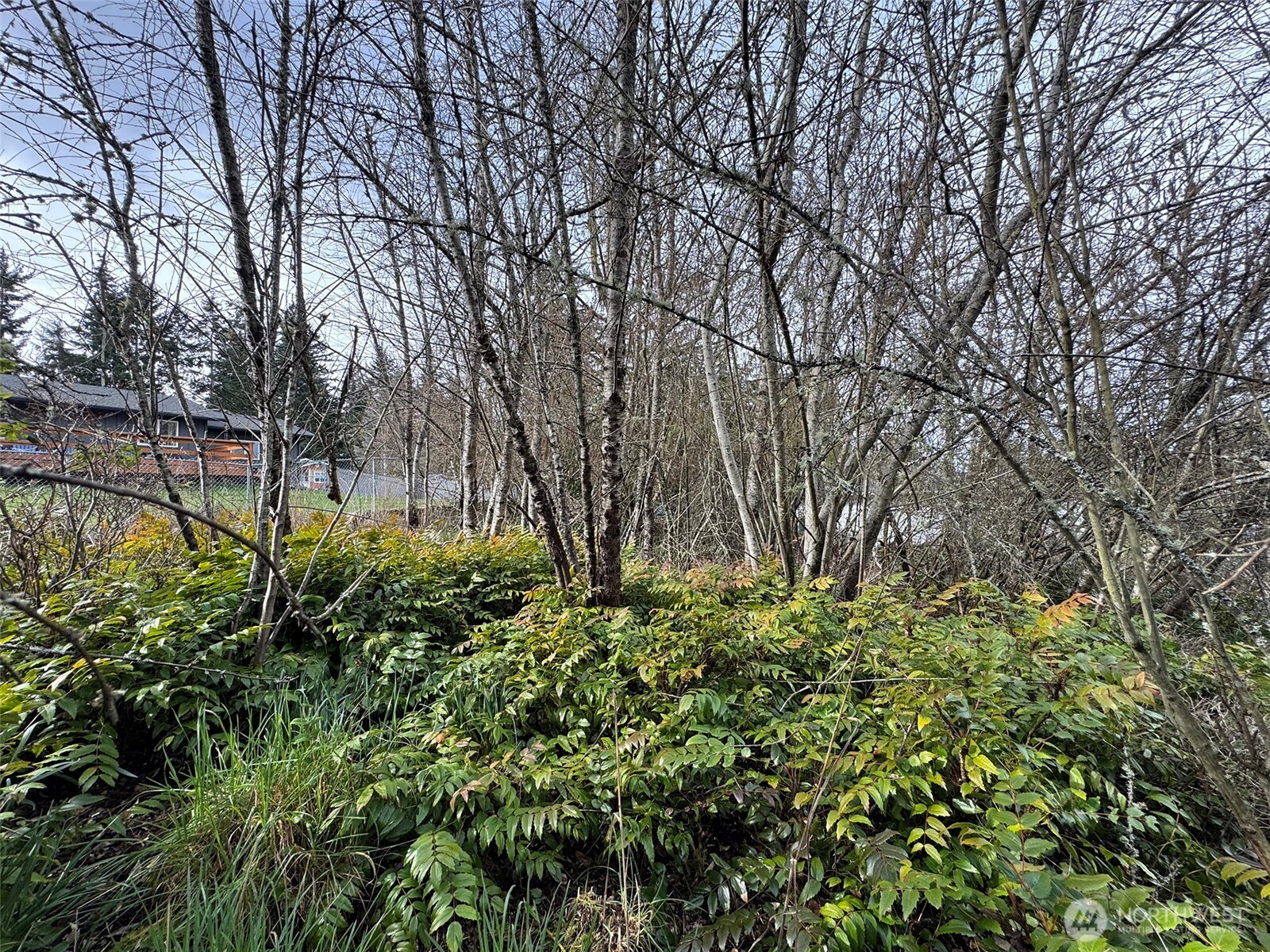 9999 W 8th Street Port Angeles WA 98363