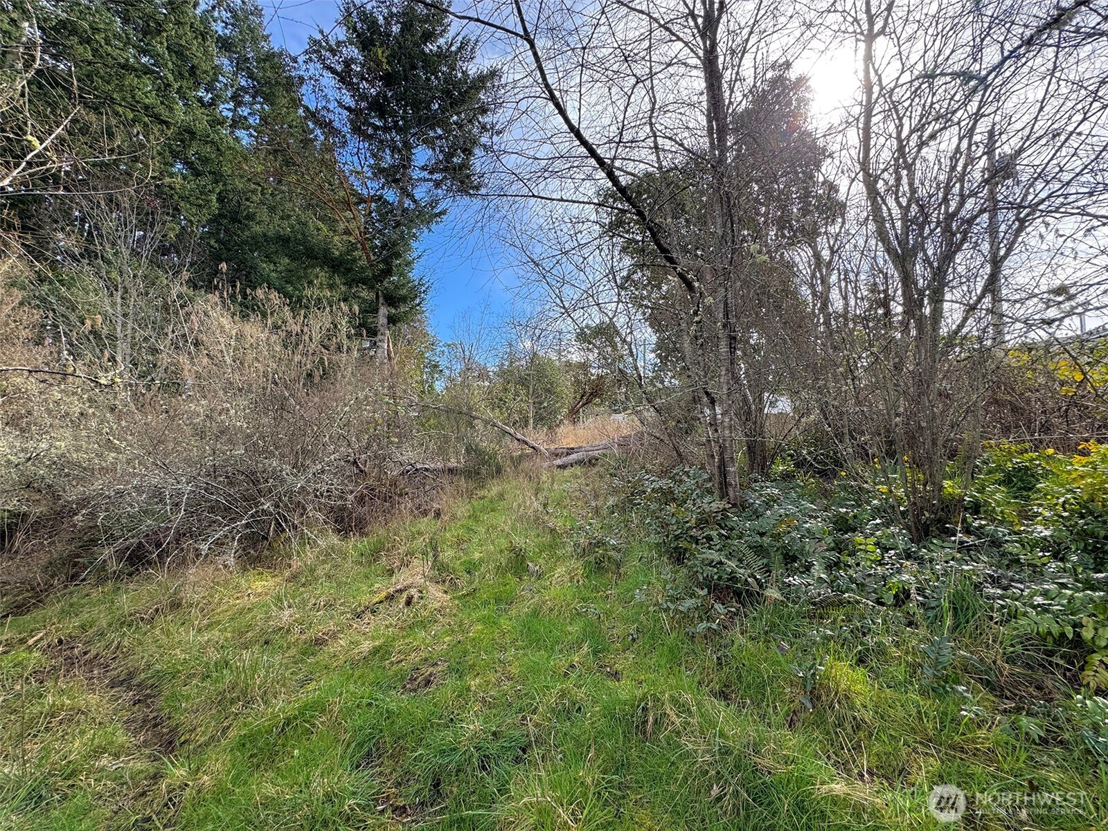 9999 W 8th Street Port Angeles WA 98363