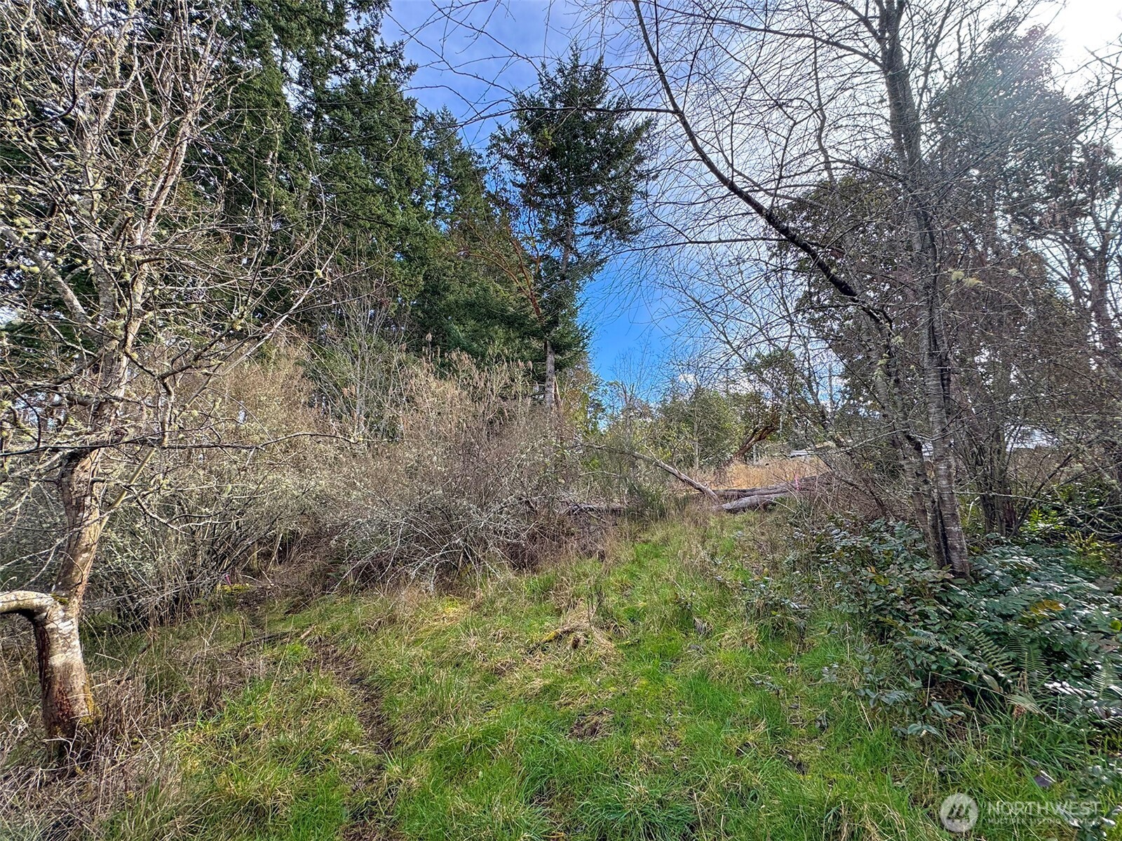 9999 W 8th Street Port Angeles WA 98363