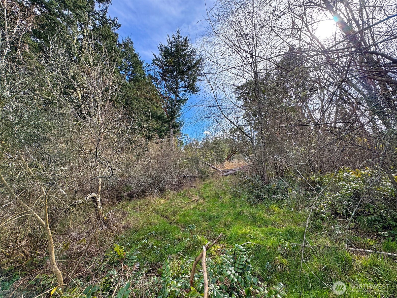 9999 W 8th Street Port Angeles WA 98363