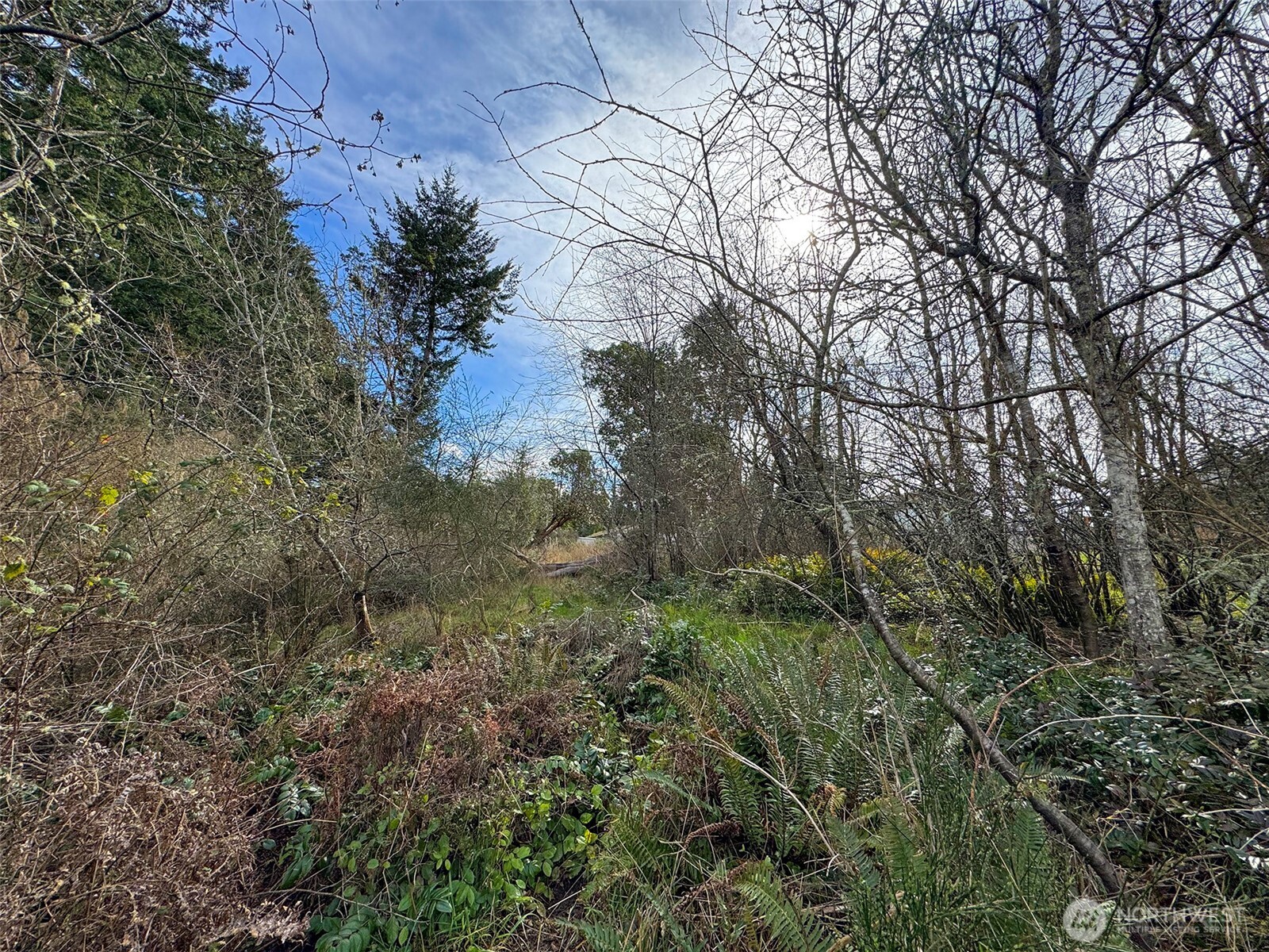 9999 W 8th Street Port Angeles WA 98363