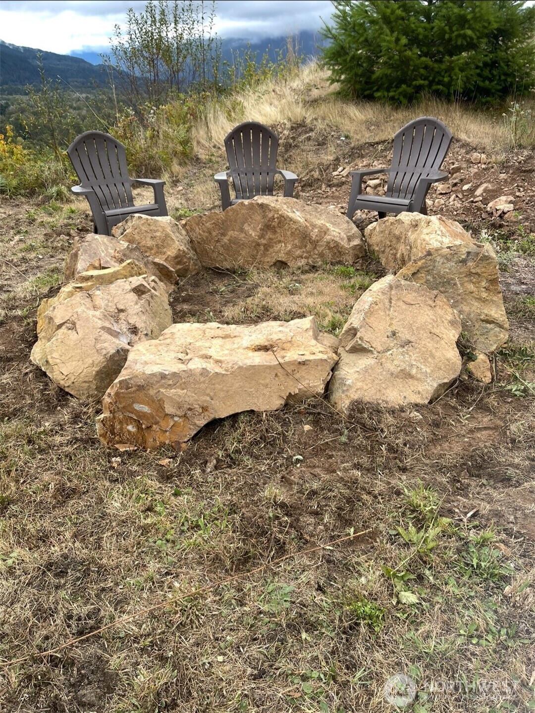 1102 Cline Road Randle WA 98937