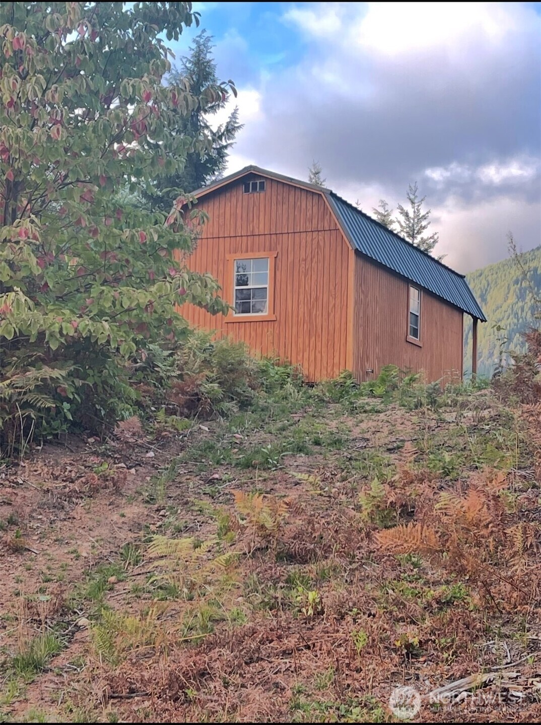 1102 Cline Road Randle WA 98937