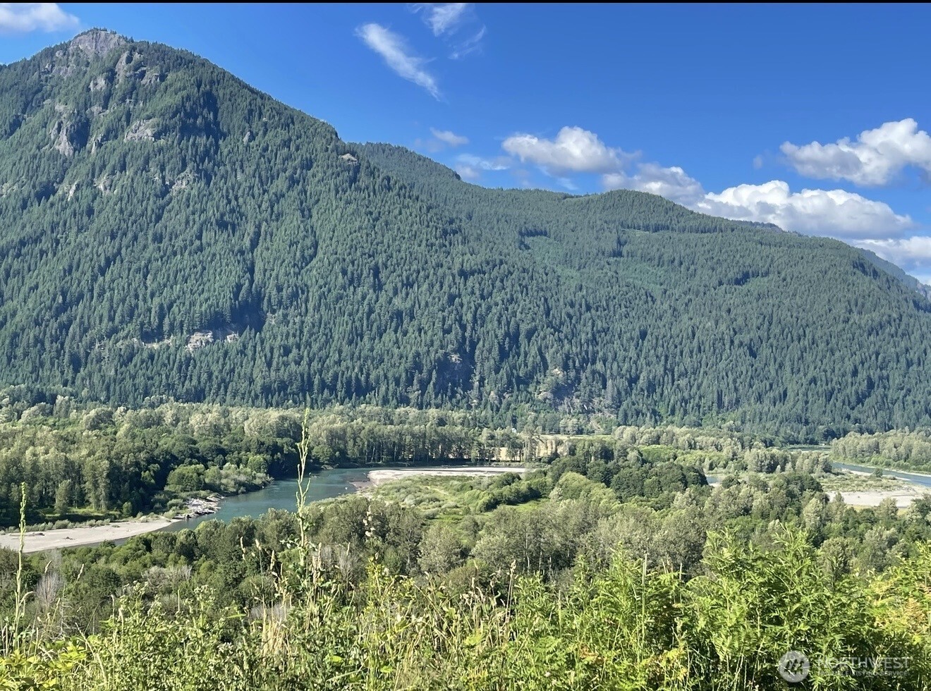 1102 Cline Road Randle WA 98937