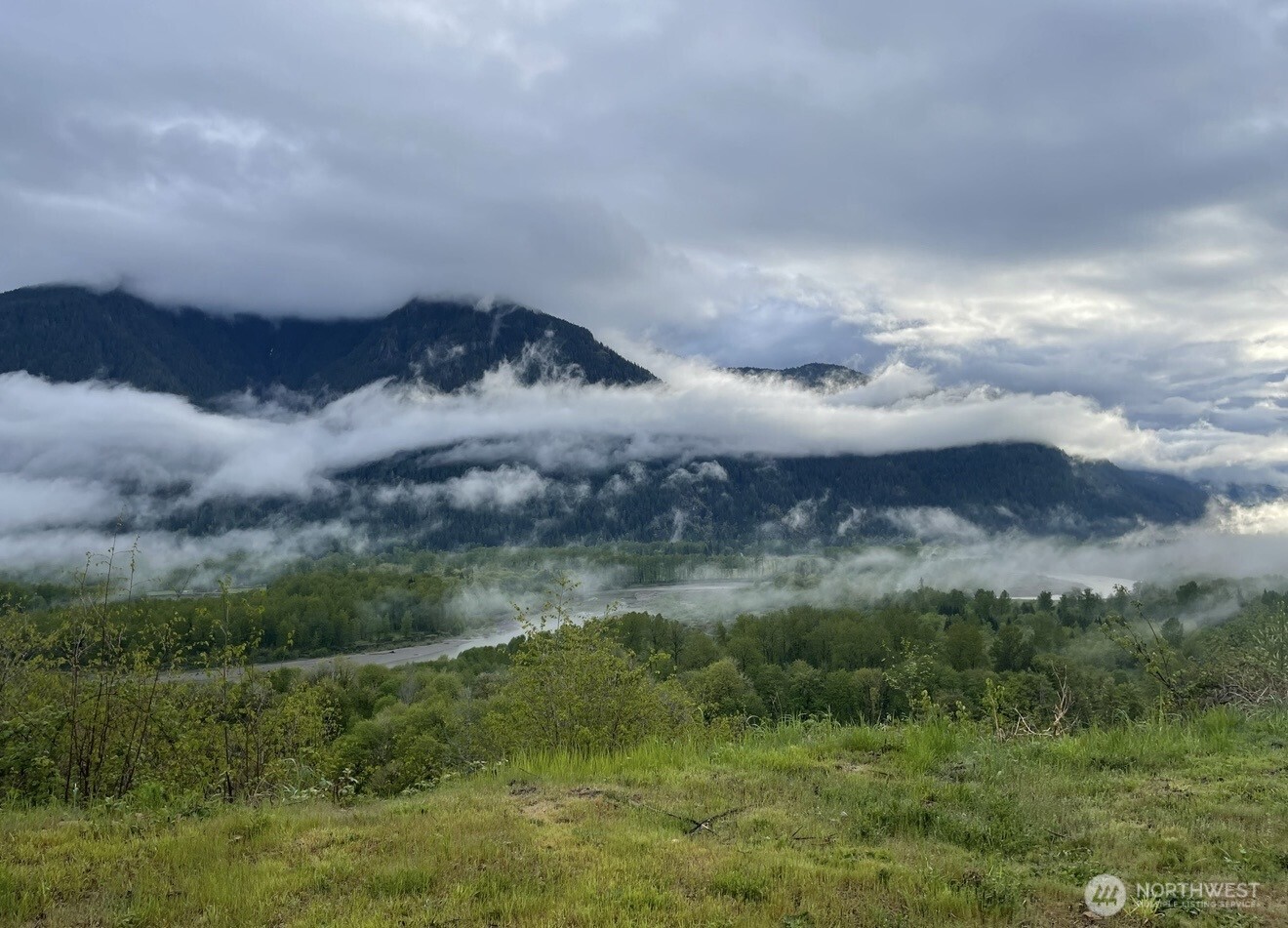 1102 Cline Road Randle WA 98937