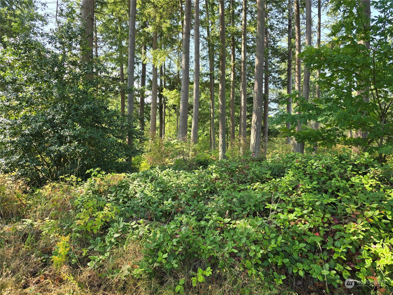 4081 Preserve Drive Camano Island WA 98282
